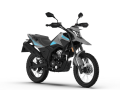 SZARY 1 (2).png