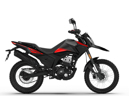 CZARNY (1).png