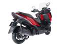 red (8).png